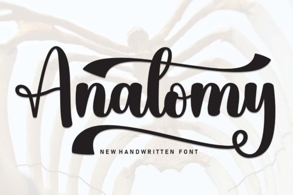 Anatomy: A Designer’s Deep Dive into Real-World Use