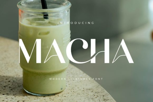 Macha: A Bold Serif Typeface for Modern Web and Brand Design